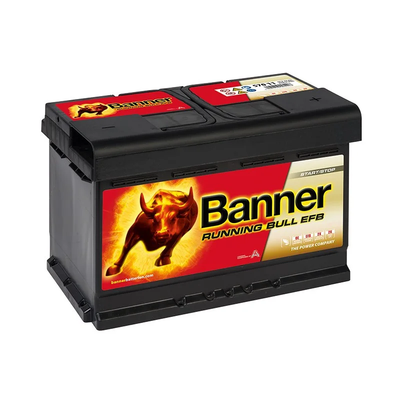 battery687494