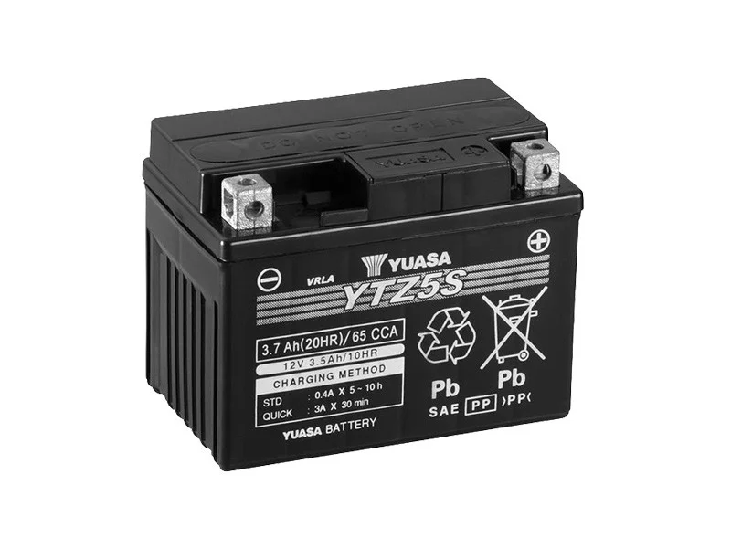 battery689375