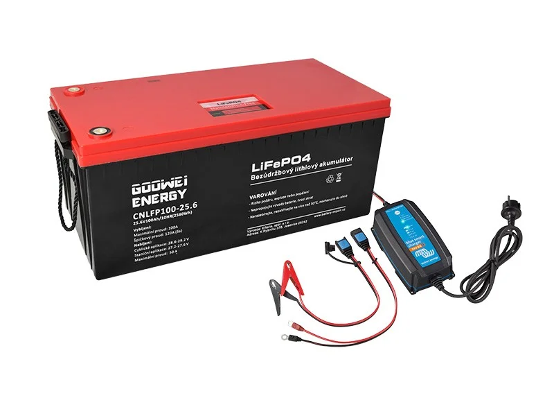 battery699504