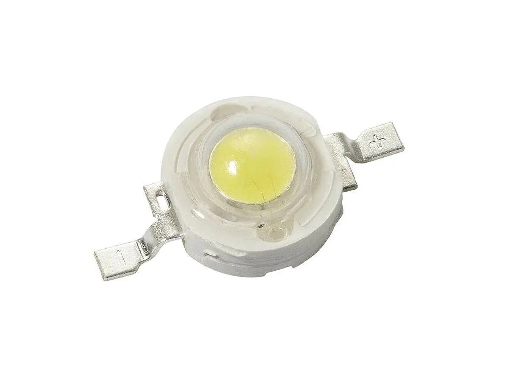 dratek682022